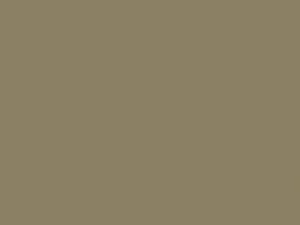 Beige Visone Metallic touch-up paint for Fiat, code 578, 1985