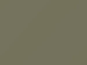 Willow Green Metallic touch-up paint for Hyundai, code WG, 1987