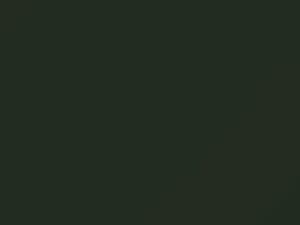 Larch Green Metallic touch-up paint for Rolls Royce, code 9510139, 1966