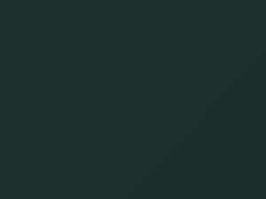 Racing Green Pearl touch-up paint for Aston Martin, code 1140, 2002