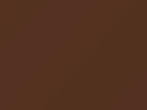 Light Brown Metallic touch-up paint for Nissan, code 811, 1980