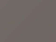Light Titanium Pearl touch-up paint for Ford, code 11, 6330, YF, 1988