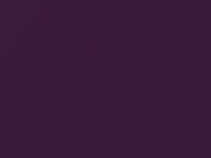 Morado Retevision touch-up paint for Nissan, code 07C, 2003