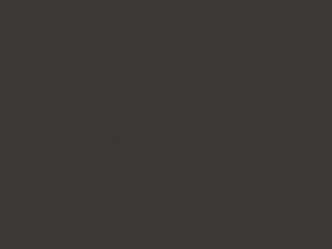 Grigio Chiaro Metallic touch-up paint for Fiat, code 189, 614, 1983