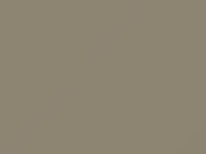 Light Beige Metallic touch-up paint for Toyota, code 4000, 1983