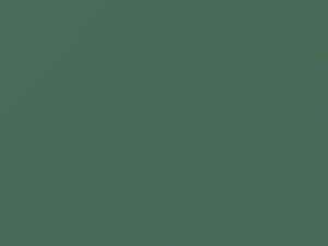 Mint Green Metallic touch-up paint for Toyota, code 6B8, 1982