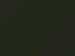 Mercedes-Benz Zypressengruen Metallic touch up paint 6876 1982 All Models