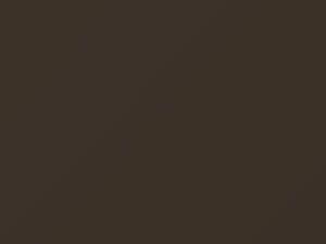Medium Sandalwood Pearl touch-up paint for Ford, code B8, 1989