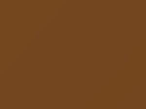 BMW Ceylon Metallic touch up paint 203 1974 All Models