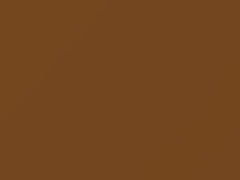BMW Ceylon Metallic touch up paint 203 1973 All Models