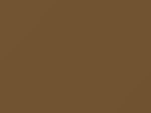 Gold Metallic touch-up paint for Nissan, code 913, 1970