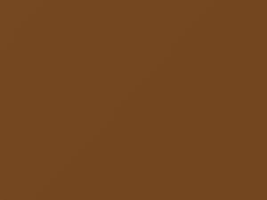 BMW Ceylon Metallic touch up paint 8 1973 All Models