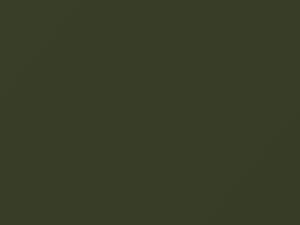 Green Metallic touch-up paint for Nissan, code 302, 1976