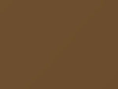 Gold Metallic touch-up paint for Nissan, code 690, 1978