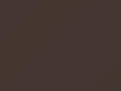 Beige Metallic touch-up paint for Nissan, code 10, 1982