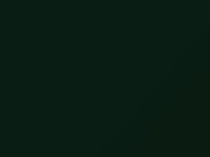 New Racing Green touch-up paint for Lotus, code A65, 1988