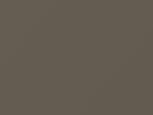 Champagne Metallic touch-up paint for Smart, code C88L, EA0, 2011