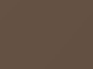 Light Beige Metallic touch-up paint for Hyundai, code LC, 1990
