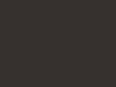 Delphi Brown Metallic touch-up paint for Mitsubishi, code AC11154, C54, 1997