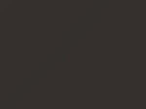 Delphi Brown Metallic touch-up paint for Mitsubishi, code AC11154, C54, 1997