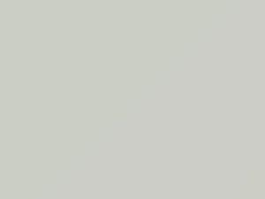 Bianco Banchisa touch-up paint for Fiat Qubo, code 249, 2010