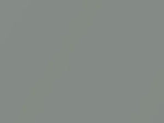 Gray Metallic touch-up paint for Toyota, code 1G6, 2015