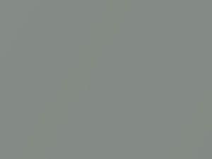 Gray Metallic touch-up paint for Toyota, code 1G6, 2015