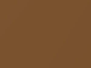 Mercedes-Benz Canyonbeige Metallic touch up paint 1-895 2019 All Models