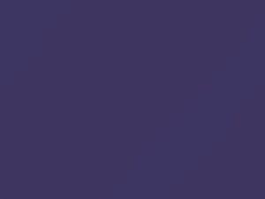 Purple touch-up paint for Nissan, code LR2, 1996