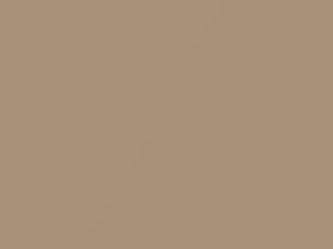 Light Sienna Metallic touch-up paint for Ford, code AN, M6461A, 1991