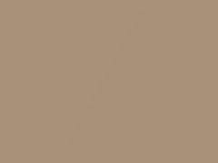 Light Sienna Metallic touch-up paint for Ford, code AN, M6461A, 1991