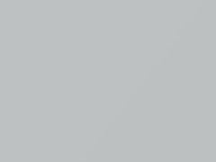 Polaris White touch-up paint for Jaguar Xf, code 1AA, 2135, JBC2135, NER, 2019