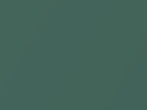 Palm Green Metallic touch-up paint for Hyundai, code PEG, 2010