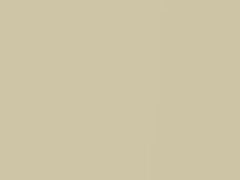 Hidamari IVory Pearl touch-up paint for Acura Legend, code YR598P, 1991
