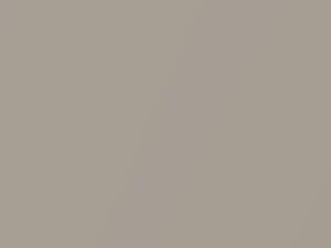 Beige Savannah Metallic touch-up paint for Fiat, code 761, 2015