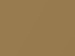 Desert Beige Metallic touch-up paint for Kia, code D2, 2011