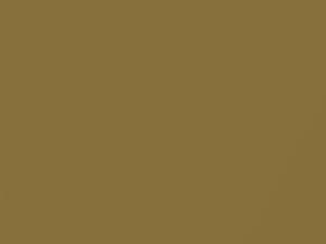 Gold Metallic touch-up paint for Dodge Truck, code DT6622, 2011