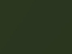 Hunter Green Metallic touch-up paint for Buick, code 4233, 48, WA4233, 1972