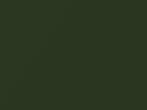 Hunter Green Metallic touch-up paint for Buick, code 4233, 48, WA4233, 1972