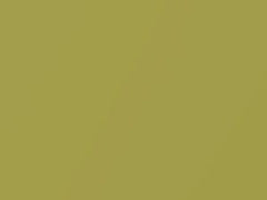 Yellow Green touch-up paint for Nissan, code JP1, 2003