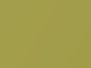 Yellow Green touch-up paint for Nissan, code JP1, 2003