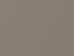 Sand Beige Metallic touch-up paint for Nissan, code C12, 2005