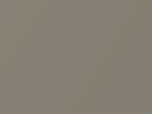 Sand Beige Metallic touch-up paint for Nissan, code C12, 2005