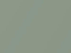 Kiwi Green Metallic touch-up paint for Hyundai Tucson, code SCM, 2010