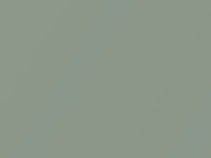 Kiwi Green Metallic touch-up paint for Hyundai Tucson, code SCM, 2010