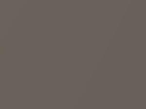 BMW Kalahari Beige Metallic touch up paint 481 2008 All Models