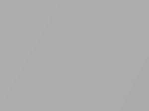 Quick Silver Metallic touch-up paint for Subaru Outback, code 262, 1999