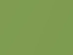 Fresh Lime Metallic touch-up paint for Honda Civic, code GY27M, 2005