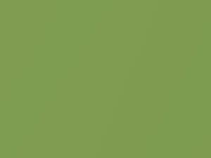 Fresh Lime Metallic touch-up paint for Honda Civic, code GY27M, 2005