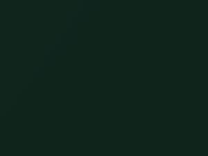 British Racing Green II Metallic touch-up paint for Mini Cabrio, code B22, 2016